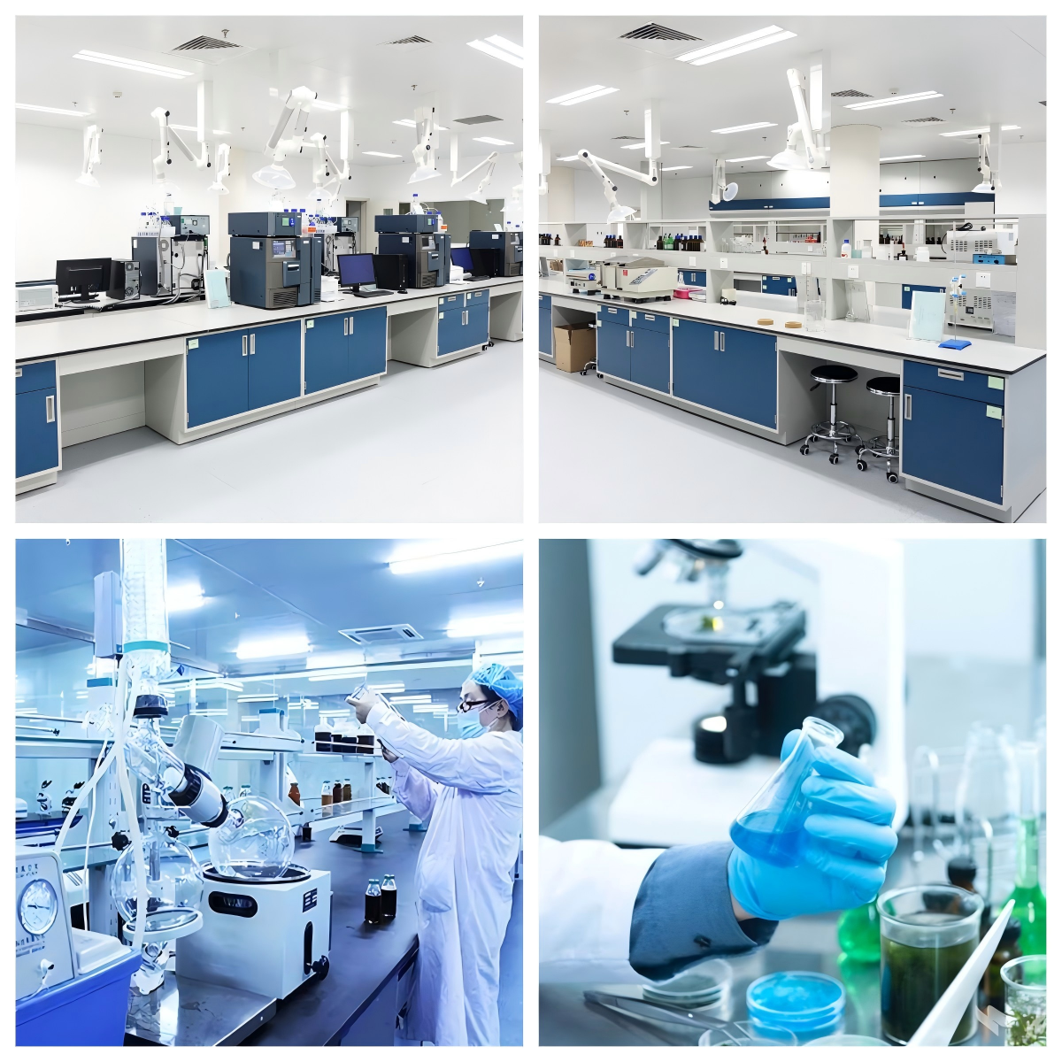 中藥新藥委托研發(fā)服務